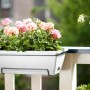 Fioriera da esterno bianca t.b.t. con gerani rosa su un balcone.