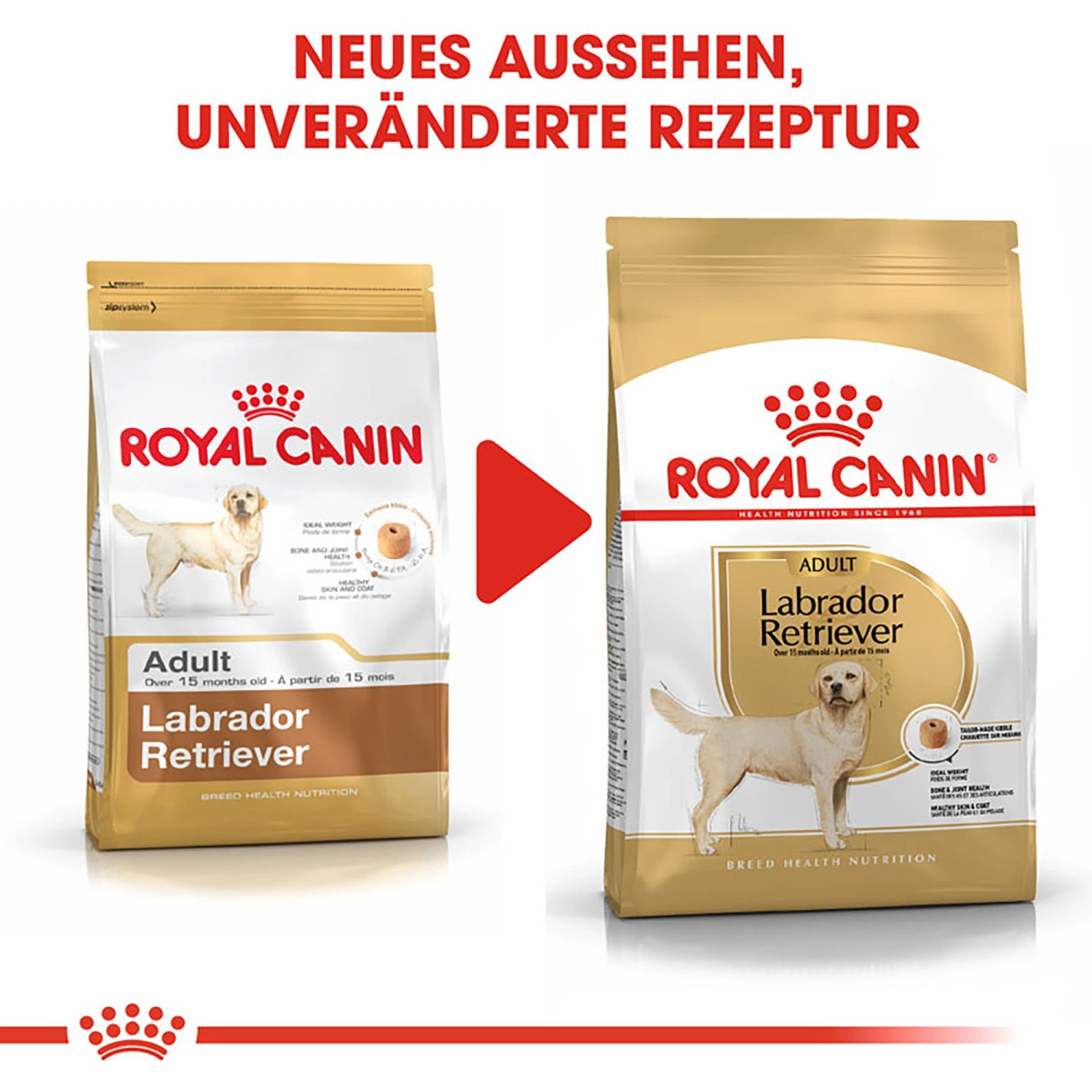 Petstock royal canin labrador best sale