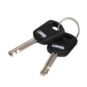 Due chiavi auto nere Lampa su un portachiavi.