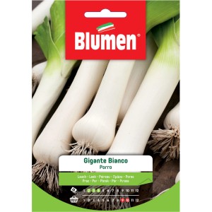 Confezione di semi di porro 'Gigante Bianco' di Blumen. Ideale per coltivare ortaggi nel proprio giardino.