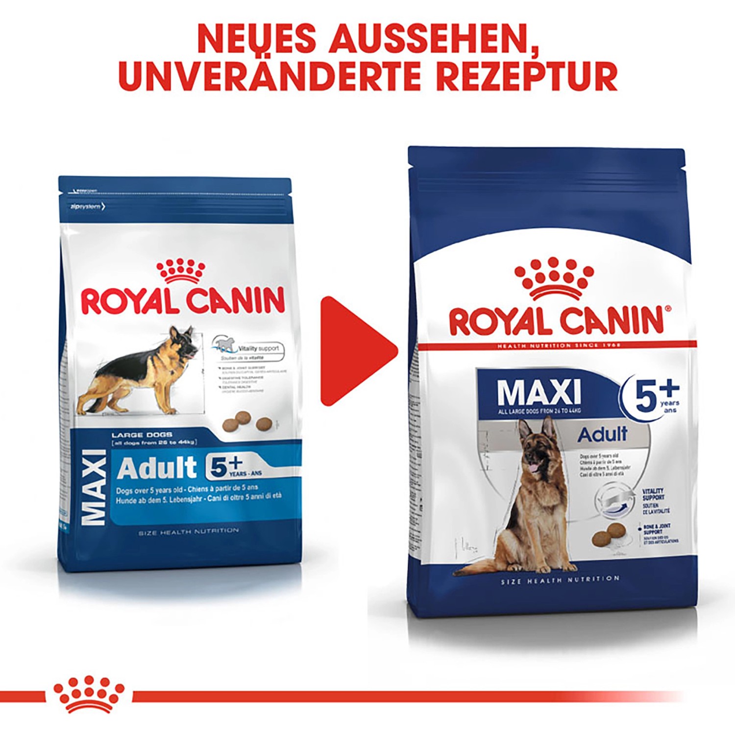 Royal Canin Maxi Adult 5+ cibo secco per cani anziani di taglia grande, confezione da 4 kg.