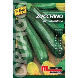 Confezione di semi di zucchino 'Nero di Milano' per la coltivazione nell'orto.