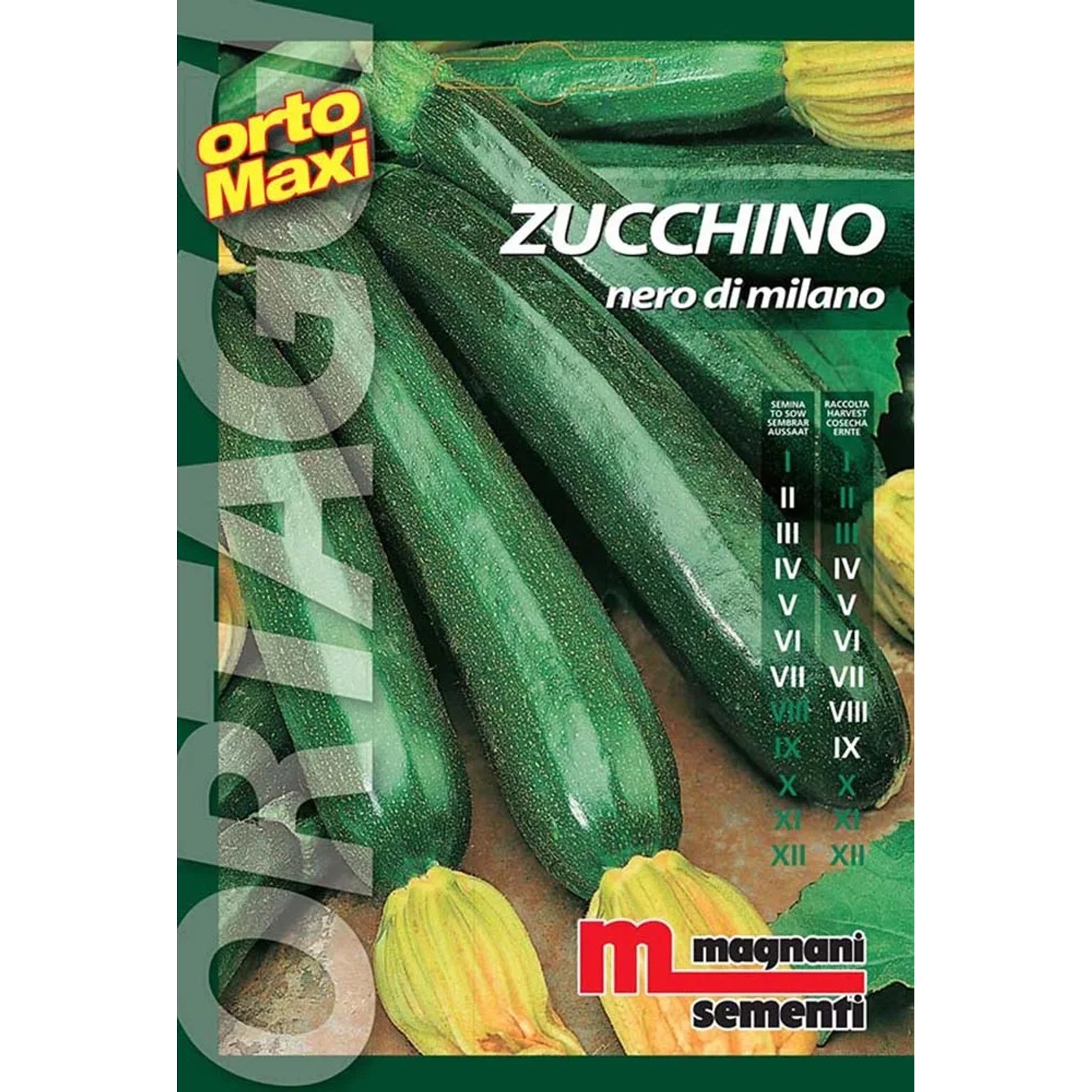 Confezione di semi di zucchino 'Nero di Milano' per la coltivazione nell'orto.