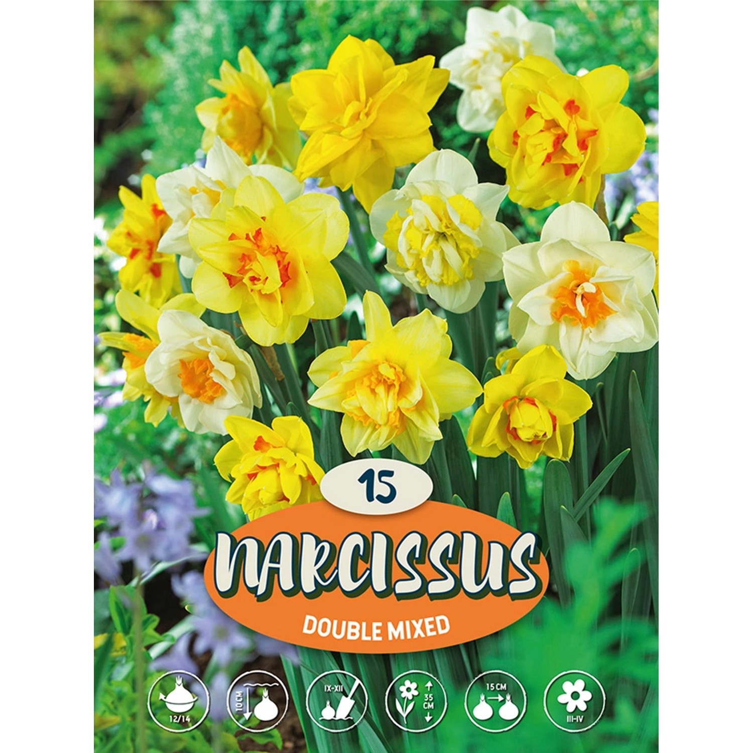 Narcisi multicolore doppi "Gefüllter Mix" come bulbi da fiore per aiuole e giardini.