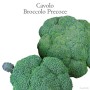 Broccolo fresco e verde, una delizia salutare dalla categoria Ortaggi da frutto.