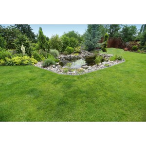 Laghetto da giardino con rete per laghetto 5x4m per proteggere da foglie e sporco.