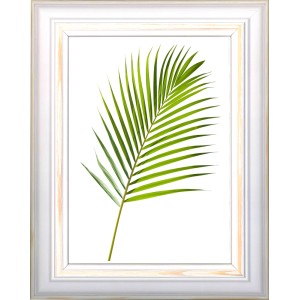 Cornice t.b.t. con motivo a foglia verde