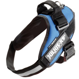 Pettorina per cani Julius-K9 blu per comfort e sicurezza ottimali.