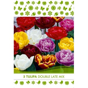 Bulbi da fiore Tulipa Double Late Mix con fiori in vari colori.