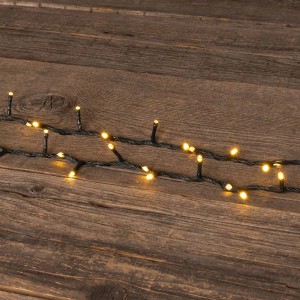 Catena luminosa per esterni con LED bianco caldo su cavo scuro.