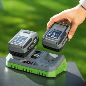 Caricabatterie rapido doppio LUX 20V con due batterie del 1 PowerSystem.