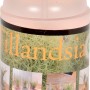Tillandsia Spray mini, flacone da 125ml per la cura e l'apporto di nutrienti delle Tillandsie.