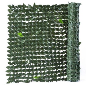 t.b.t. stuoia frangivista con foglie verdi, arrotolata e srotolata.