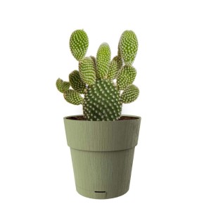 Vaso per piante plastica riciclata Verde Oliva Ø 25 cm