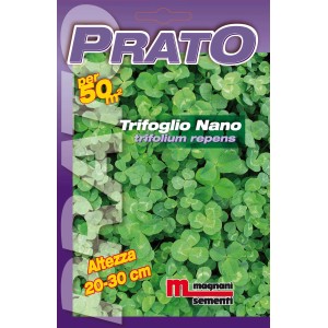 Confezione di semi per prato: t.b.t. per un prato verde e denso. Ideale per 50m².