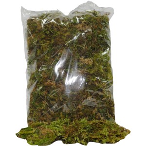 Muschio in sacchetto per decorazioni presepe. Materiale naturale per un Presepe dettagliato.