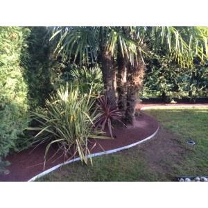 Giardino con ciottoli decorativi rossi (t.b.t.) intorno a piante e alberi.