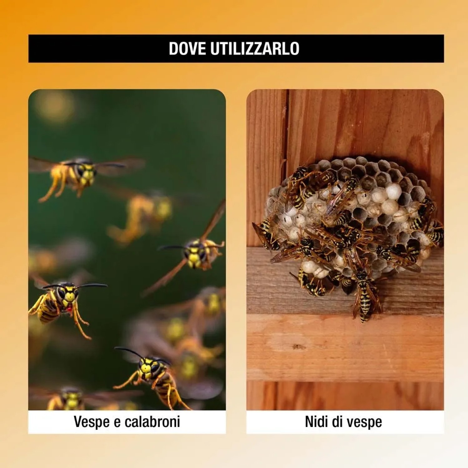 Spray vespicida per nidi di vespe e calabroni 750 ml acquista da OBI