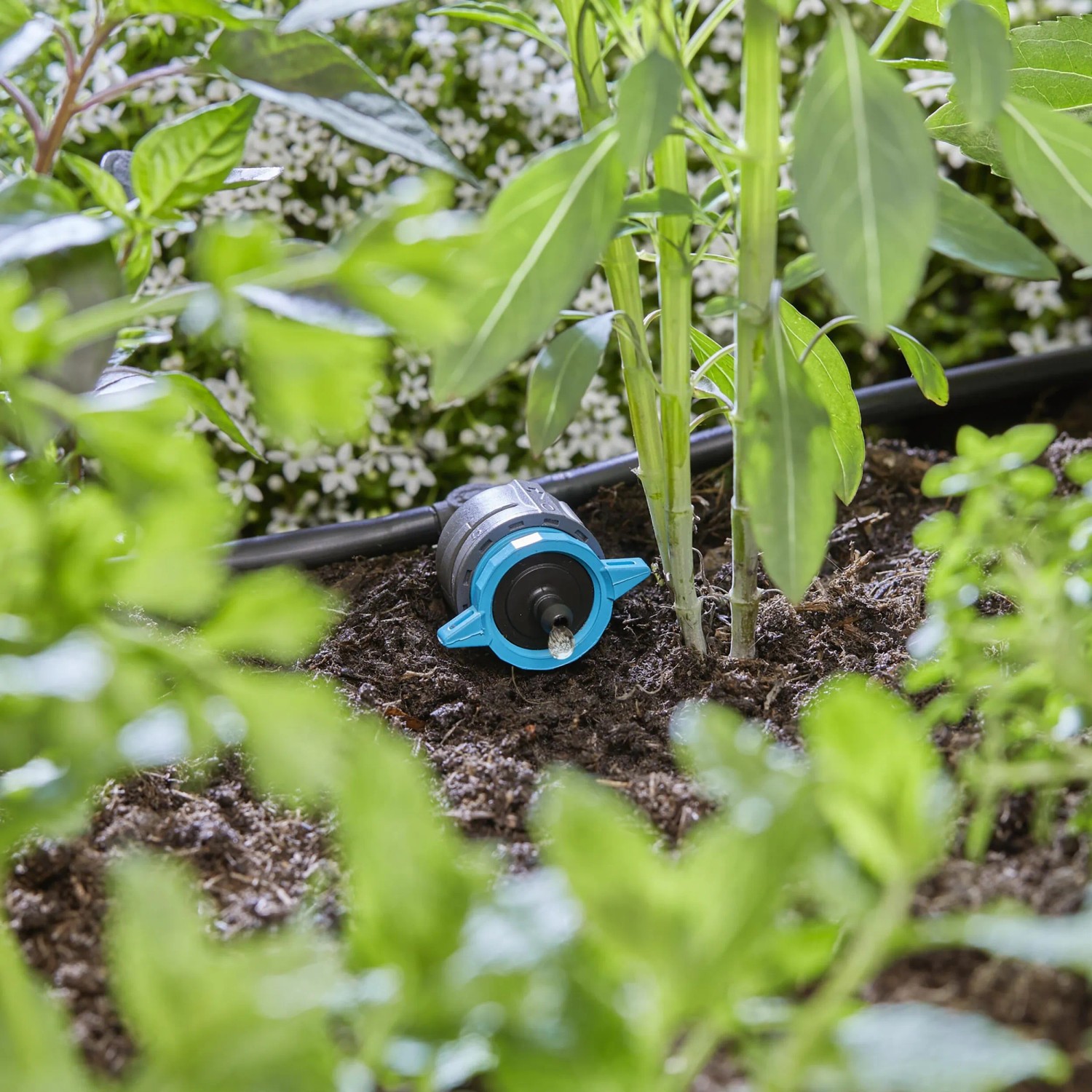 Gocciolatore di fila Gardena nell'aiuola: Irrigazione regolabile per sistemi Micro-Drip.