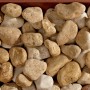 Ciottoli decorativi beige (Ciottoli e granulati) per giardino e decorazione.