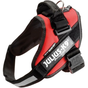 Pettorina per cani rossa Julius-K9 con elementi riflettenti e logo.