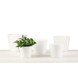 Scheurich vaso decorativo 808, Ø 24 cm, Panna: Diversi vasi bianchi di diverse dimensioni.