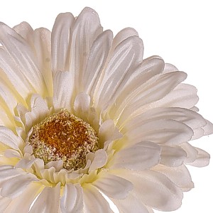 Dettaglio di una gerbera artificiale color crema. Fiore finto decorativo per interni.