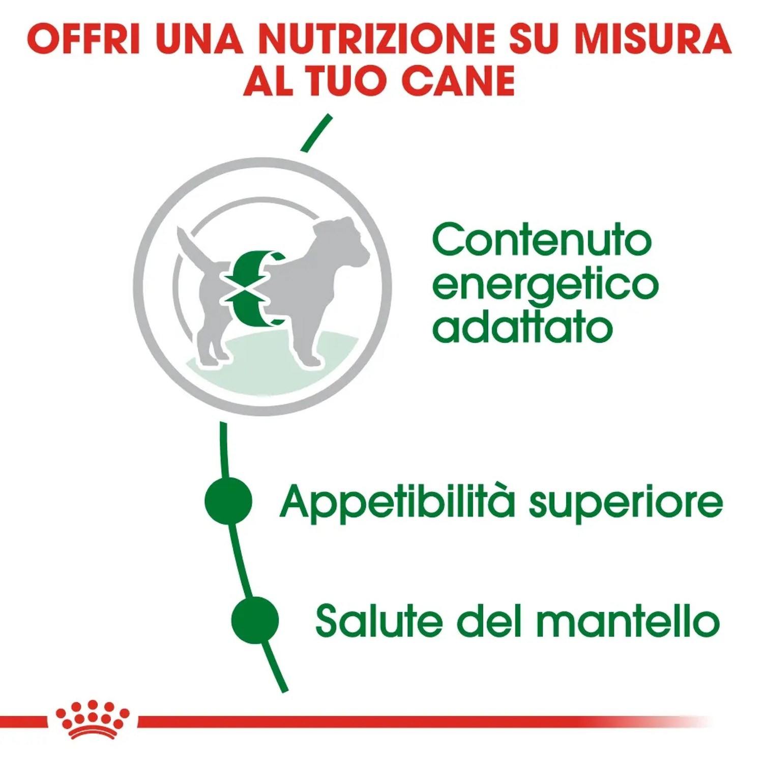 Royal Canin Mini Adult cibo per cani: illustrazione di energia, appetibilità e salute del mantello.