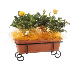 Fioriera da balcone con rose gialle e supporto nero per il fissaggio al balcone.