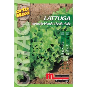 Confezione di semi per lattuga da taglio (Lattuga) con foglie bionde e ricce. Ideale per la coltivazione di ortaggi in giardino.