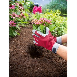 Mani con guanti da giardino rosso-grigi piantano fiori nel terreno. I guanti da lavoro proteggono.