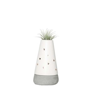 Tillandsia in vaso bianco con cuori, base grigia. Bromelia decorativa.