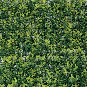 Tappeto verde t.b.t. come frangivista o decorazione per il giardino.