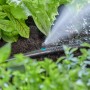 Gardena Micro-Drip-System, irrigatore a striscia terminale che irriga l'aiuola.