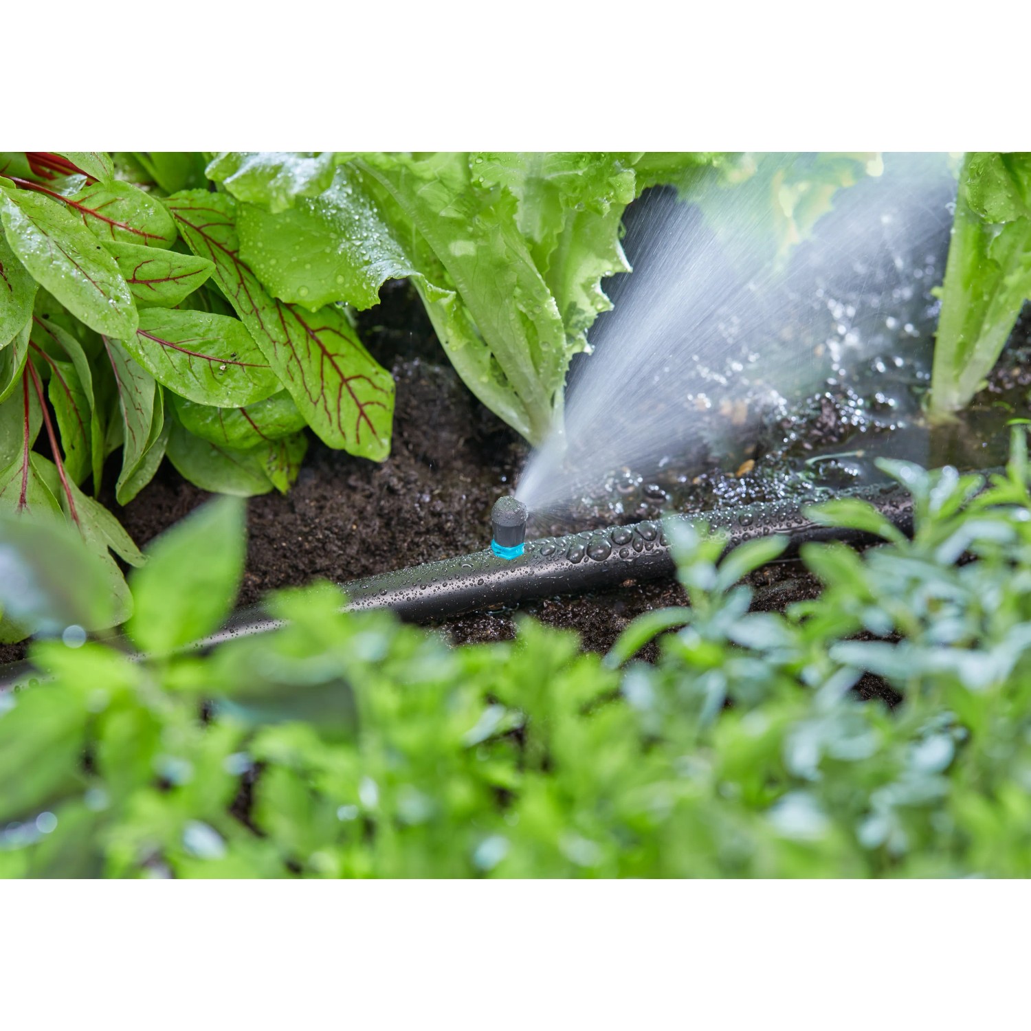 Gardena Micro-Drip-System, irrigatore a striscia terminale che irriga l'aiuola.