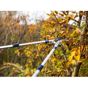 Cesoie a cricchetto LUX Ratschen-Amboss Classic tagliano rami in giardino.