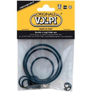 Kit di guarnizioni per pompa a pressione, vari anelli di tenuta e piccole parti confezionate in pellicola.