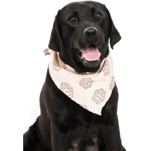 Labrador nero con bandana beige per cani con motivo a impronte di zampe. Abbigliamento per cani.