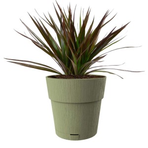 Vaso per piante plastica riciclata Verde Oliva Ø 30 cm