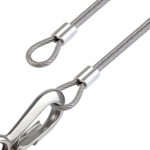 Cavo metallico con anello e moschettone, adatto come Altre catene.