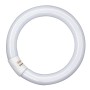 Lampada fluorescente Osram G10q, 32W, bianco neutro, forma rotonda per illuminazione cucina e ingresso.
