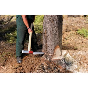 Forestale che utilizza il cuneo spaccalegna LUX Comfort (1 kg) per abbattere un albero.