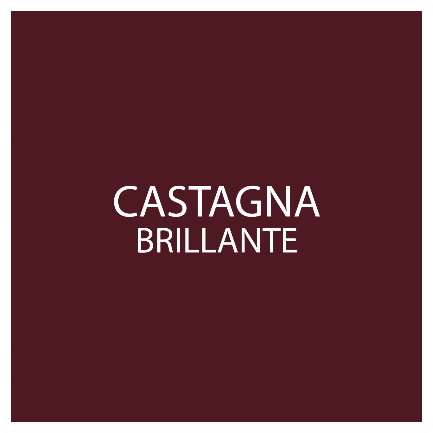 Campione colore: Vernice marrone castagna lucida per spray speciali.