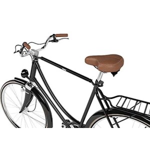 Bicicletta con portabici da tetto t.b.t. montato.