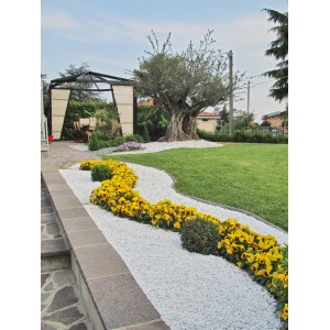 Sentiero da giardino con ghiaia decorativa bianca e fiori gialli, Ciottoli e granulati.