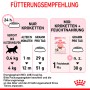 Guida all'alimentazione Royal Canin Kitten: razione giornaliera in base all'età e al peso del gatto.