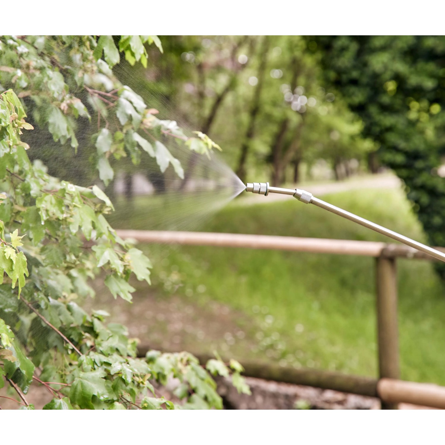Spruzzatore a pressione che spruzza piante in giardino.