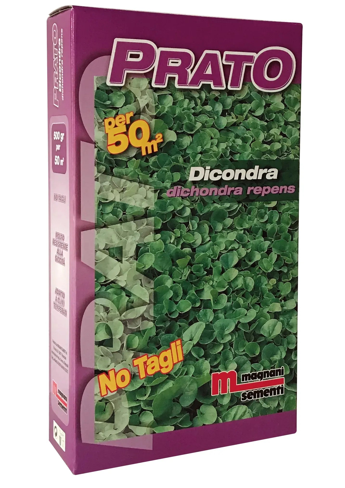 Semi Prato Dicondra 100 G Acquista Da OBI