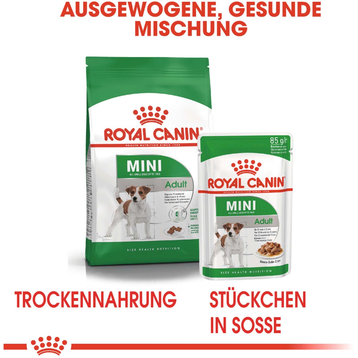Royal Canin Mini Adult cibo secco per cani di piccola taglia, confezione da 800g.
