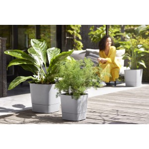 Vaso per piante quadrato Elho Greensense Aqua Care, 30,2x29,5 cm, Light Concrete, con piante.